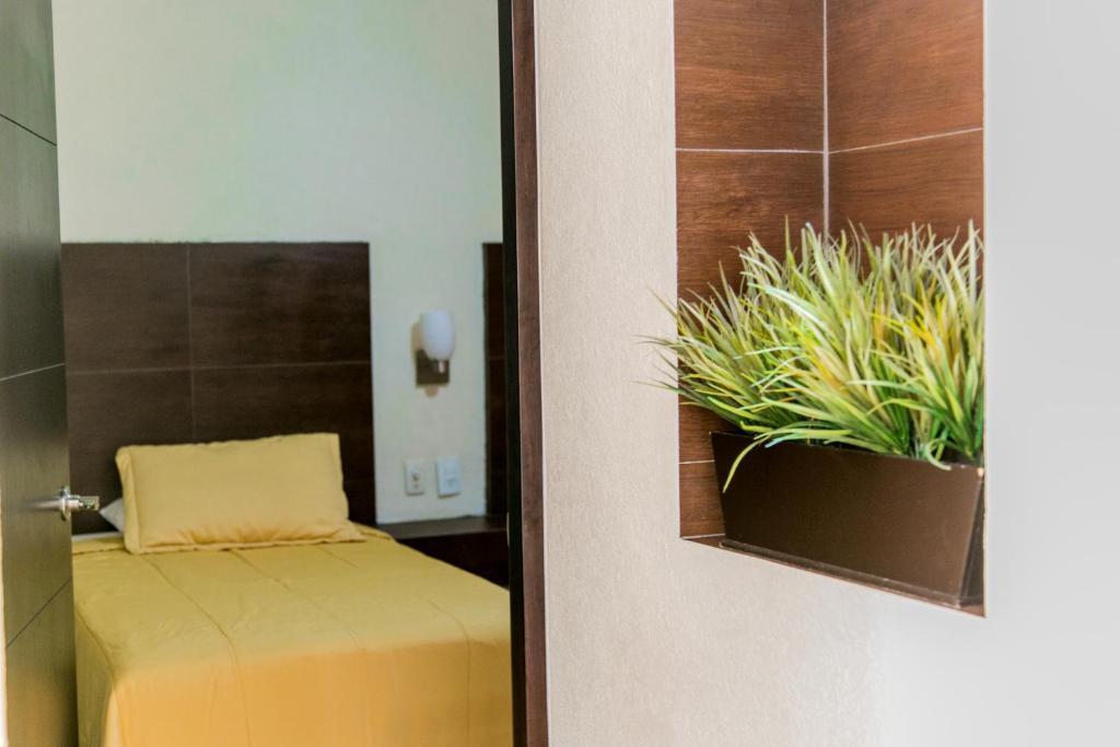 Coral Pacifico Hotel Y Villas Manzanillo Rum bild